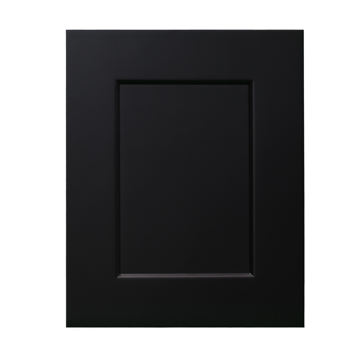 Black Shaker Sample Door